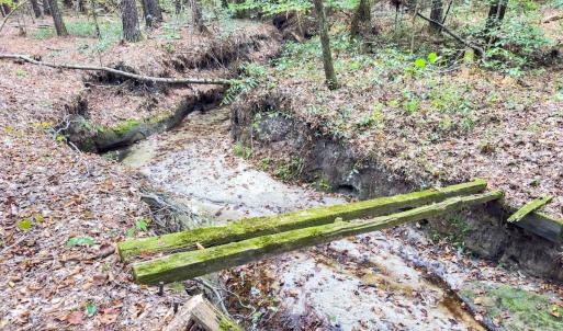 Photo #17 of Off Danville Drive, Fayetteville, NC 145.3 acres