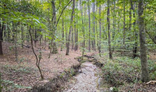 Photo #18 of Off Danville Drive, Fayetteville, NC 145.3 acres