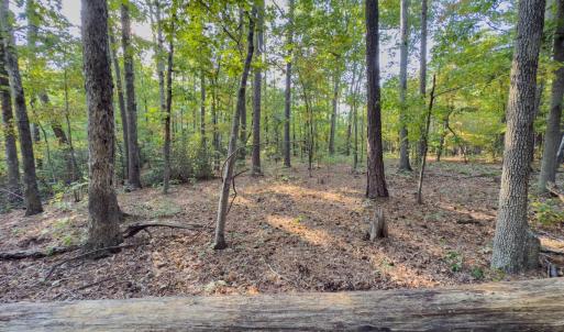 Photo #19 of Off Danville Drive, Fayetteville, NC 145.3 acres