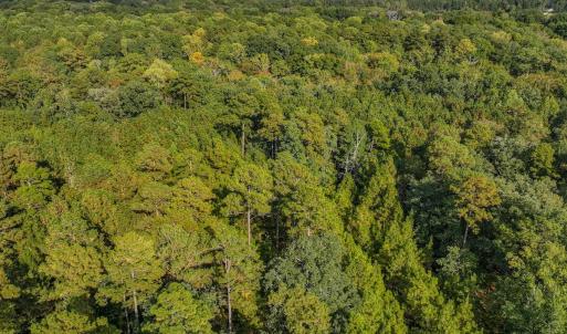 Photo #2 of Off Danville Drive, Fayetteville, NC 145.3 acres