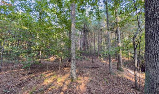 Photo #20 of Off Danville Drive, Fayetteville, NC 145.3 acres