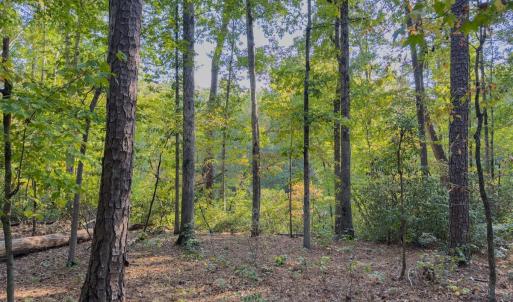 Photo #4 of Off Danville Drive, Fayetteville, NC 145.3 acres