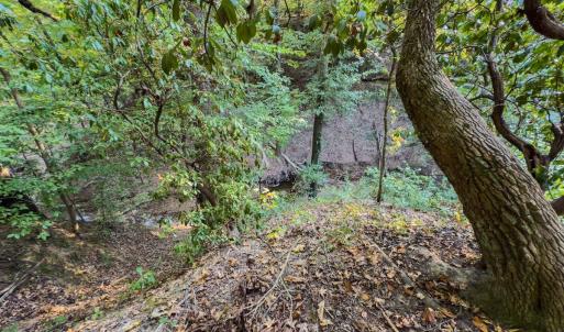 Photo #5 of Off Danville Drive, Fayetteville, NC 145.3 acres