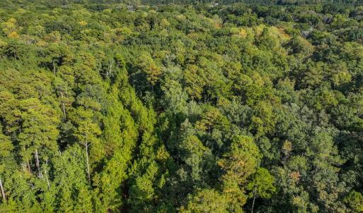 Photo #7 of Off Danville Drive, Fayetteville, NC 145.3 acres