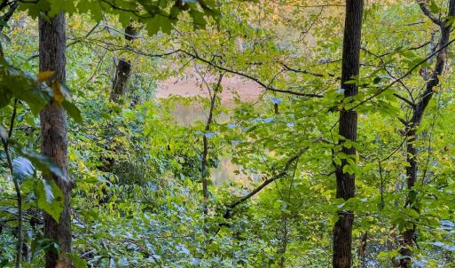 Photo #9 of Off Danville Drive, Fayetteville, NC 145.3 acres