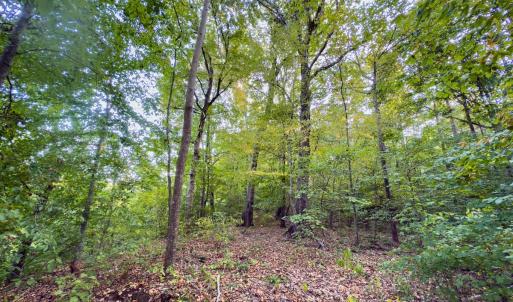 Photo #21 of Off Danville Drive, Fayetteville, NC 145.3 acres