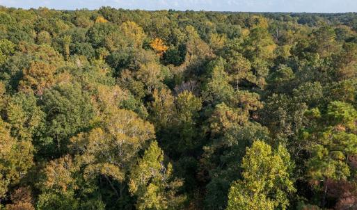Photo #22 of Off Danville Drive, Fayetteville, NC 145.3 acres
