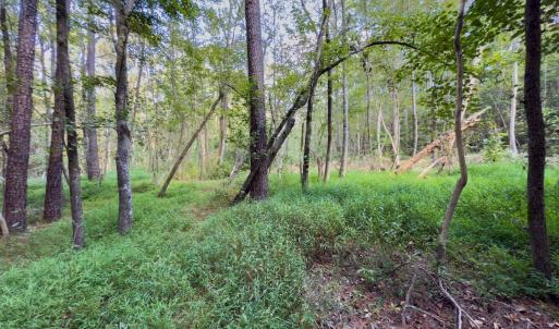 Photo #26 of Off Danville Drive, Fayetteville, NC 145.3 acres