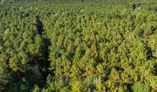 Photo #27 of Off Danville Drive, Fayetteville, NC 145.3 acres