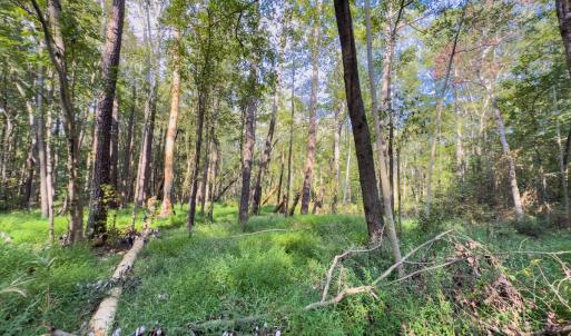 Photo #29 of Off Danville Drive, Fayetteville, NC 145.3 acres