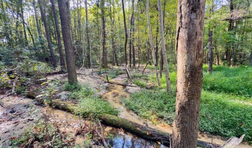 Photo #30 of Off Danville Drive, Fayetteville, NC 145.3 acres