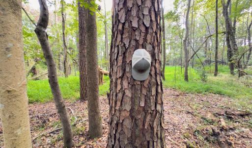 Photo #31 of Off Danville Drive, Fayetteville, NC 145.3 acres