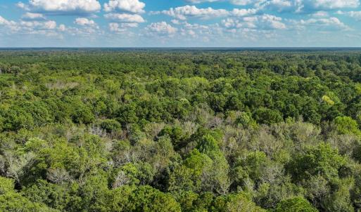 Photo #32 of Off Danville Drive, Fayetteville, NC 145.3 acres