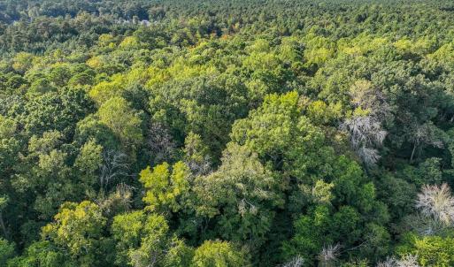 Photo #33 of Off Danville Drive, Fayetteville, NC 145.3 acres