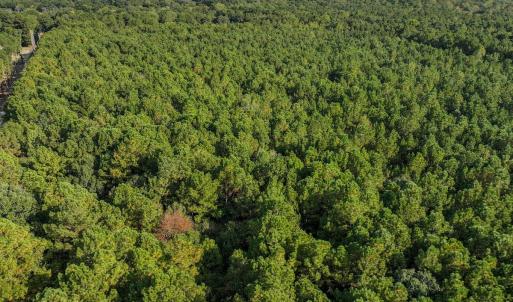 Photo #34 of Off Danville Drive, Fayetteville, NC 145.3 acres
