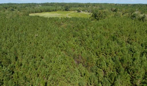 Photo #11 of Off Qualls Road, Hollister, NC 59.0 acres