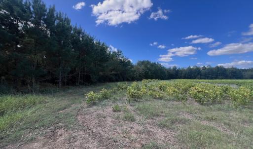 Photo #12 of Off Qualls Road, Hollister, NC 59.0 acres
