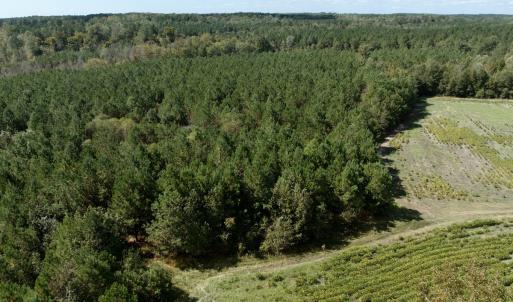 Photo #15 of Off Qualls Road, Hollister, NC 59.0 acres