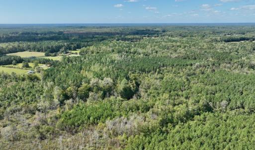 Photo #17 of Off Qualls Road, Hollister, NC 59.0 acres