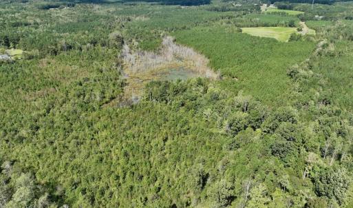 Photo #1 of Off Qualls Road, Hollister, NC 59.0 acres