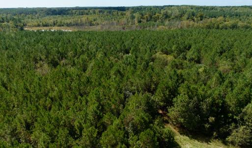 Photo #3 of Off Qualls Road, Hollister, NC 59.0 acres