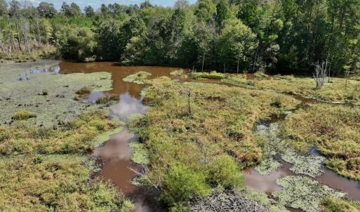 Photo #4 of Off Qualls Road, Hollister, NC 59.0 acres