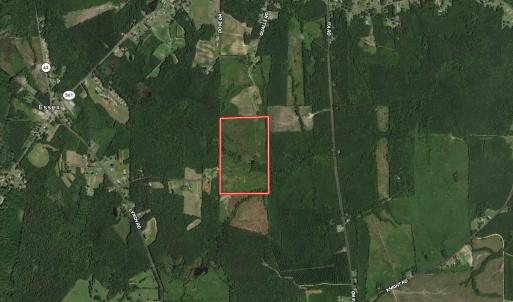 Photo #65 of Off Qualls Road, Hollister, NC 59.0 acres