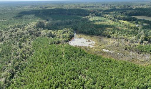 Photo #21 of Off Qualls Road, Hollister, NC 59.0 acres