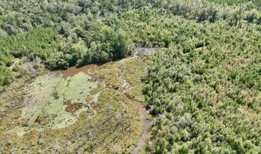 Photo #29 of Off Qualls Road, Hollister, NC 59.0 acres