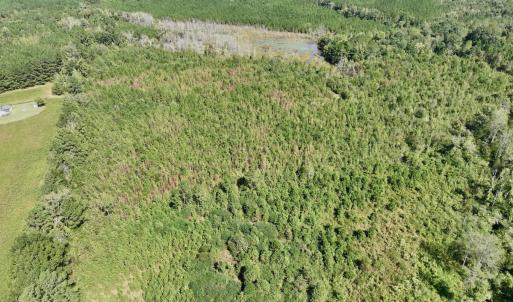 Photo #30 of Off Qualls Road, Hollister, NC 59.0 acres