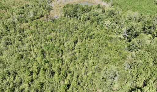 Photo #32 of Off Qualls Road, Hollister, NC 59.0 acres