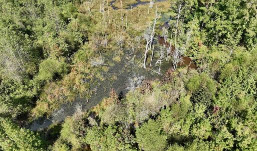 Photo #34 of Off Qualls Road, Hollister, NC 59.0 acres