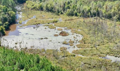 Photo #23 of Off Qualls Road, Hollister, NC 59.0 acres