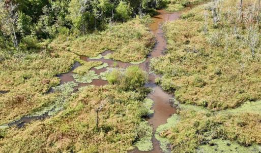 Photo #38 of Off Qualls Road, Hollister, NC 59.0 acres