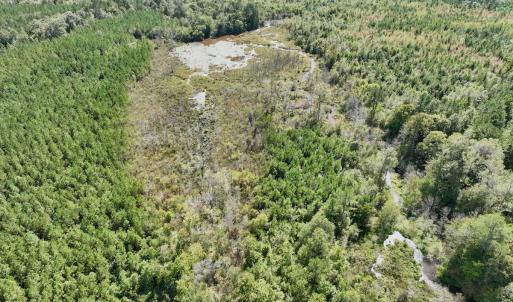 Photo #26 of Off Qualls Road, Hollister, NC 59.0 acres