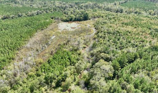 Photo #27 of Off Qualls Road, Hollister, NC 59.0 acres