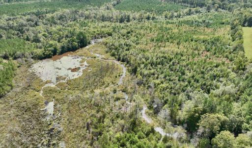 Photo #28 of Off Qualls Road, Hollister, NC 59.0 acres