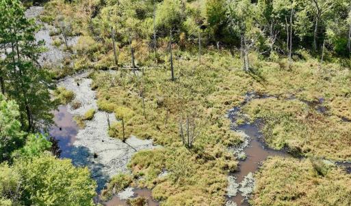 Photo #39 of Off Qualls Road, Hollister, NC 59.0 acres