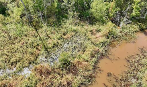 Photo #41 of Off Qualls Road, Hollister, NC 59.0 acres