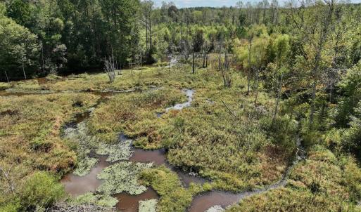 Photo #47 of Off Qualls Road, Hollister, NC 59.0 acres