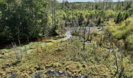 Photo #48 of Off Qualls Road, Hollister, NC 59.0 acres