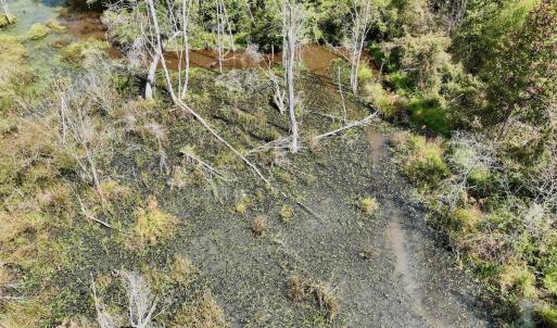Photo #50 of Off Qualls Road, Hollister, NC 59.0 acres