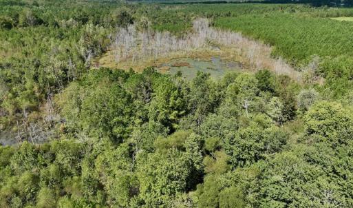 Photo #53 of Off Qualls Road, Hollister, NC 59.0 acres