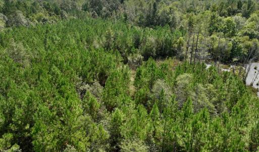 Photo #59 of Off Qualls Road, Hollister, NC 59.0 acres