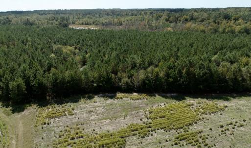 Photo #60 of Off Qualls Road, Hollister, NC 59.0 acres