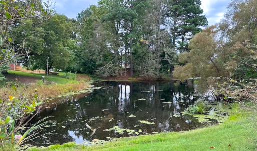 Photo #3 of 1236 Willowbrook Dr, Suffolk, VA 0.6 acres