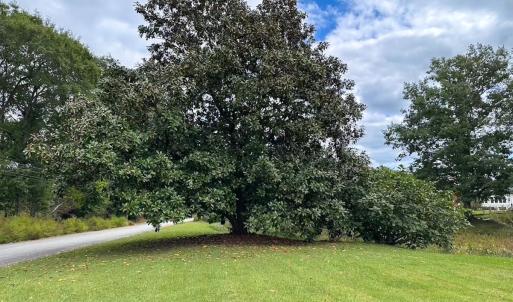 Photo #5 of 1236 Willowbrook Dr, Suffolk, VA 0.6 acres