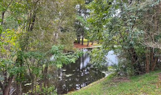 Photo #21 of 1236 Willowbrook Dr, Suffolk, VA 0.6 acres