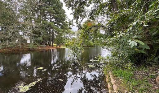 Photo #22 of 1236 Willowbrook Dr, Suffolk, VA 0.6 acres