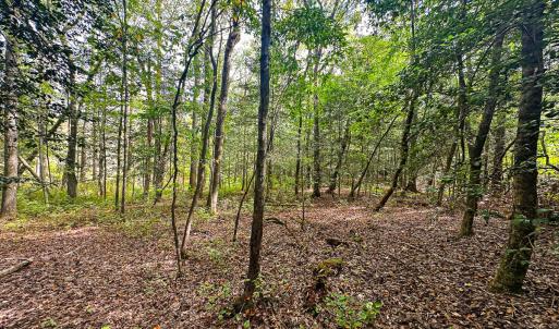 Photo #43 of 9161 Whispering Pines Trl, Windsor, VA 5.4 acres